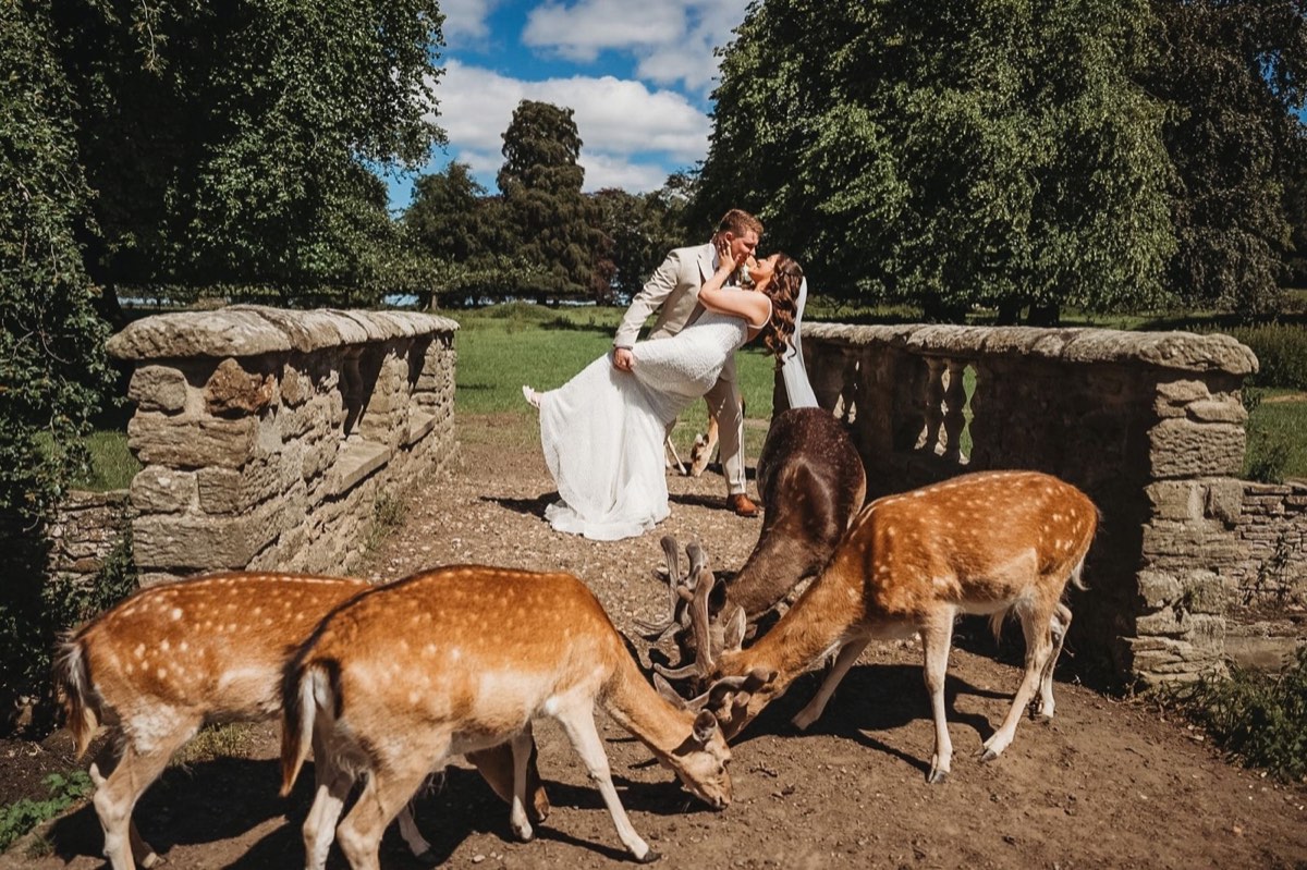 A couple in the deer park at Whitworth Hall
